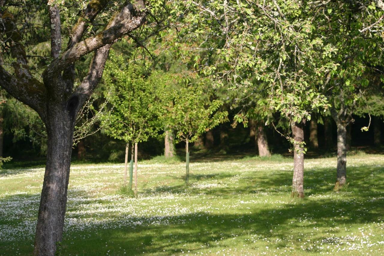 Les Charlotieres Villa Chailles  Buitenkant foto